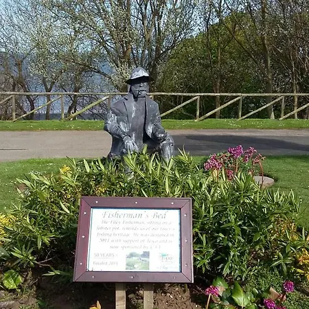 Trout * Filey